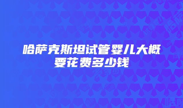 哈萨克斯坦试管婴儿大概要花费多少钱