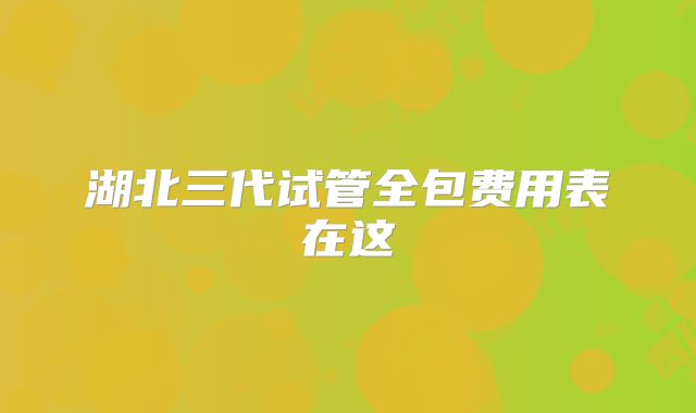 湖北三代试管全包费用表在这