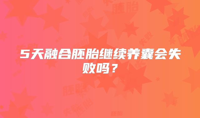5天融合胚胎继续养囊会失败吗？