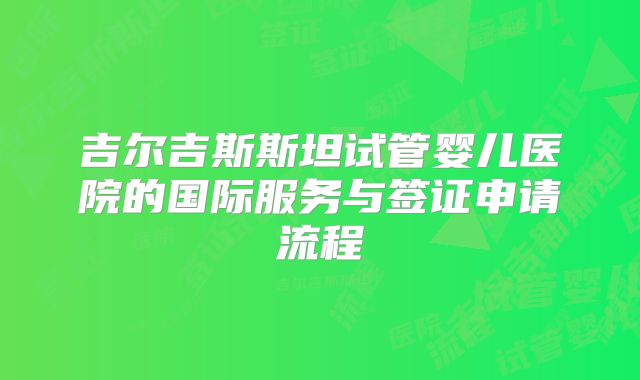 吉尔吉斯斯坦试管婴儿医院的国际服务与签证申请流程