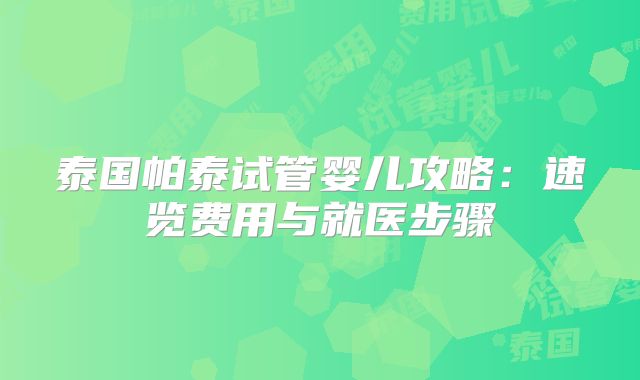 泰国帕泰试管婴儿攻略：速览费用与就医步骤