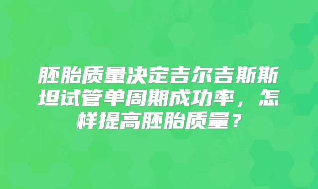 胚胎质量决定吉尔吉斯斯坦试管单周期成功率，怎样提高胚胎质量？