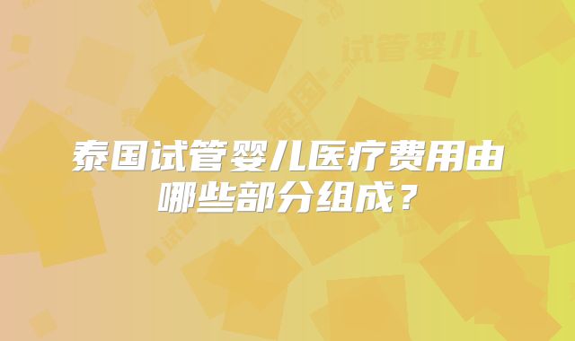 泰国试管婴儿医疗费用由哪些部分组成？