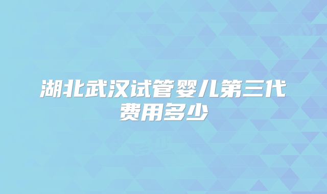 湖北武汉试管婴儿第三代费用多少