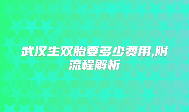 武汉生双胎要多少费用,附流程解析