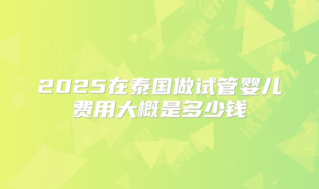 2025在泰国做试管婴儿费用大概是多少钱
