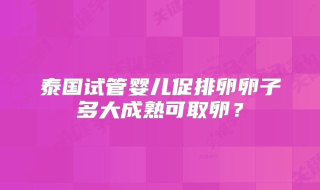 泰国试管婴儿促排卵卵子多大成熟可取卵？