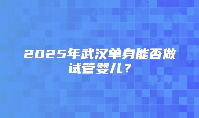 2025年武汉单身能否做试管婴儿？