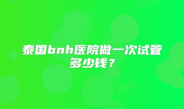 泰国bnh医院做一次试管多少钱？