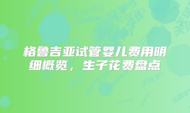 格鲁吉亚试管婴儿费用明细概览，生子花费盘点