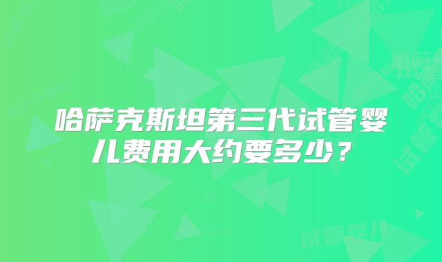哈萨克斯坦第三代试管婴儿费用大约要多少？