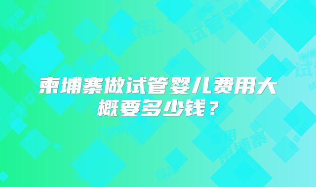柬埔寨做试管婴儿费用大概要多少钱？