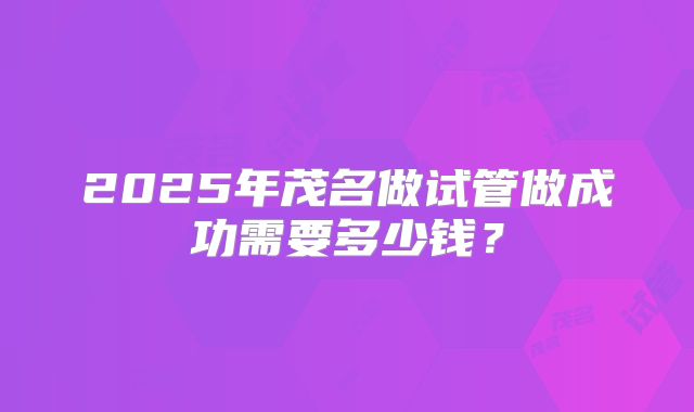 2025年茂名做试管做成功需要多少钱？