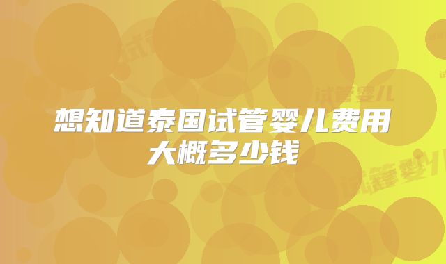 想知道泰国试管婴儿费用大概多少钱