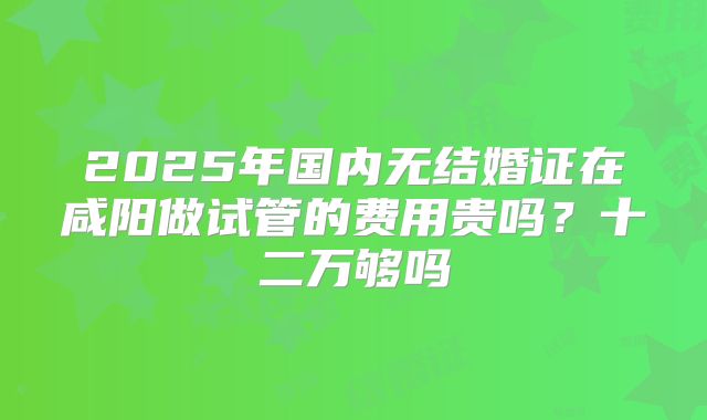 2025年国内无结婚证在咸阳做试管的费用贵吗？十二万够吗
