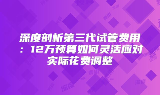 深度剖析第三代试管费用:12万预算如何灵活应对实际花费调整