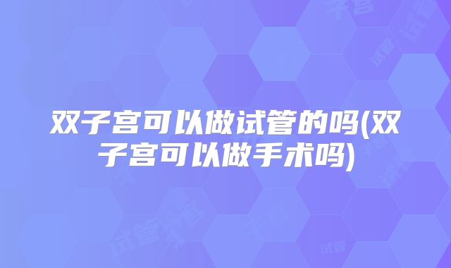 双子宫可以做试管的吗(双子宫可以做手术吗)