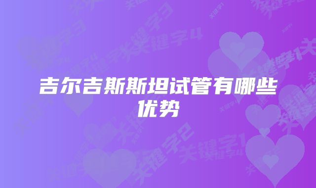 吉尔吉斯斯坦试管有哪些优势