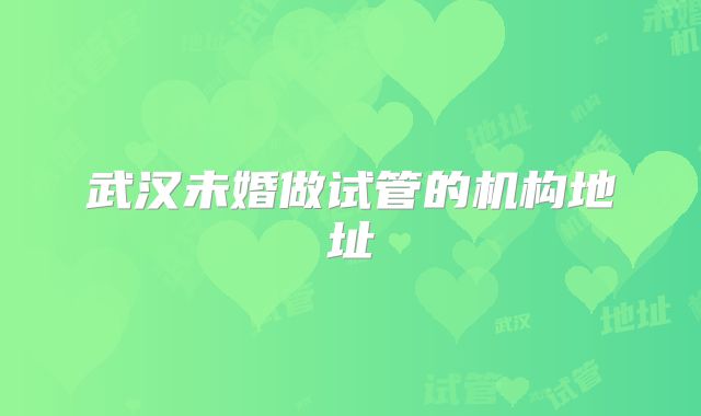武汉未婚做试管的机构地址