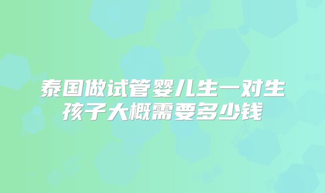 泰国做试管婴儿生一对生孩子大概需要多少钱