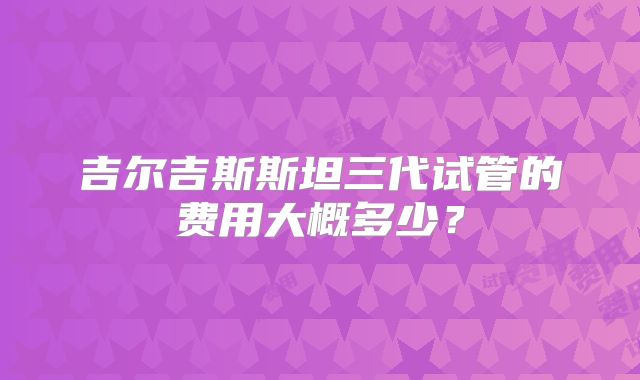 吉尔吉斯斯坦三代试管的费用大概多少?