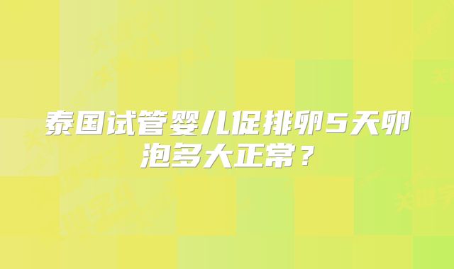 泰国试管婴儿促排卵5天卵泡多大正常?