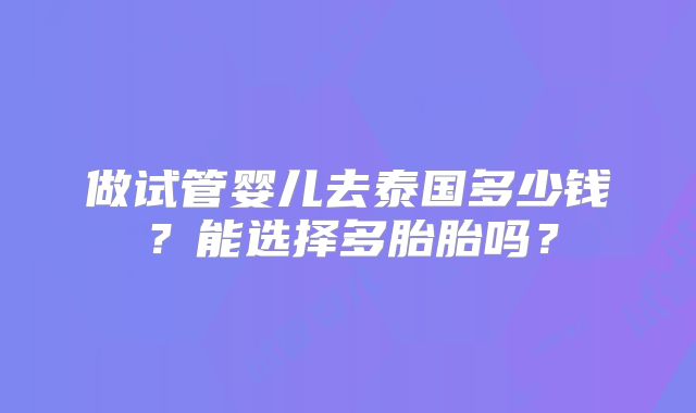 做试管婴儿去泰国多少钱？能选择多胎胎吗？