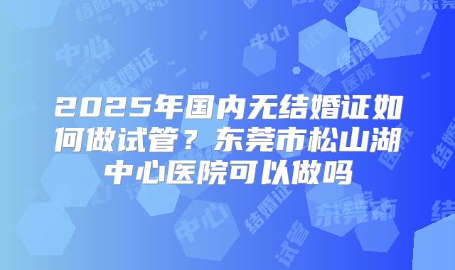 2025年国内无结婚证如何做试管？东莞市松山湖中心医院可以做吗