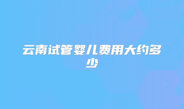 云南试管婴儿费用大约多少