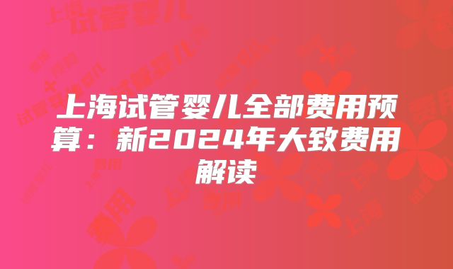 上海试管婴儿全部费用预算：新2024年大致费用解读
