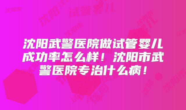 沈阳武警医院做试管婴儿成功率怎么样!沈阳市武警医院专治什么病!