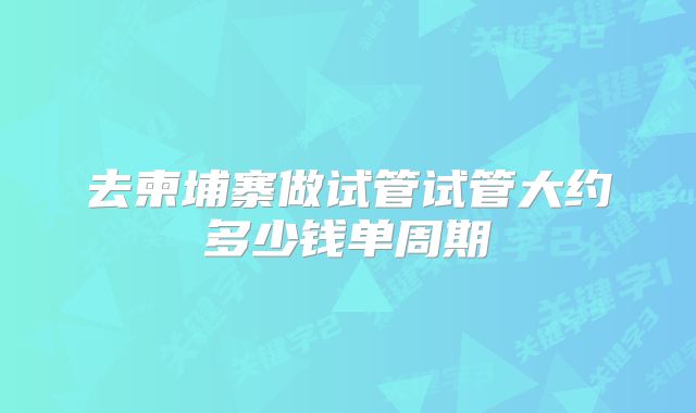 去柬埔寨做试管试管大约多少钱单周期