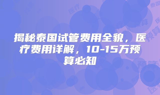 揭秘泰国试管费用全貌，医疗费用详解，10-15万预算必知