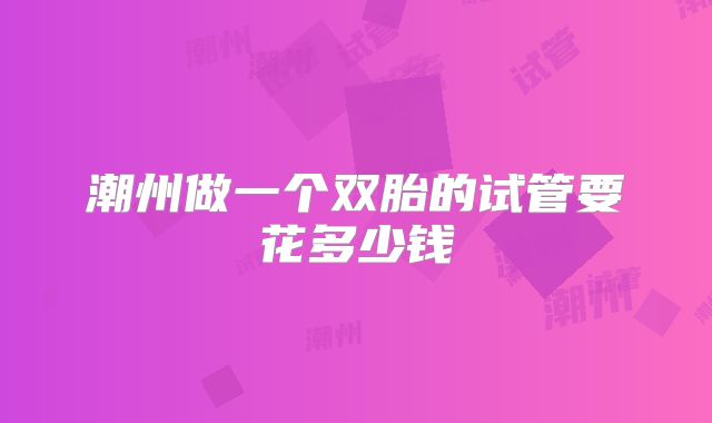 潮州做一个双胎的试管要花多少钱