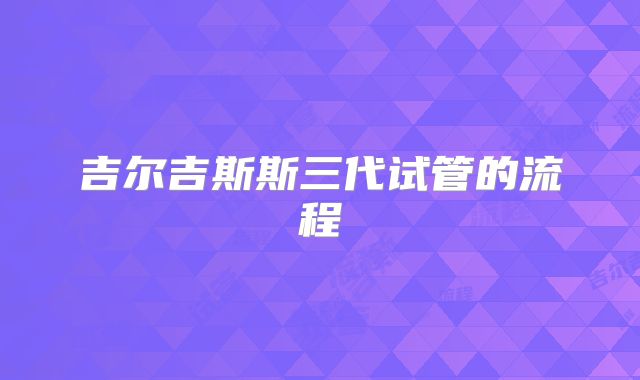 吉尔吉斯斯三代试管的流程