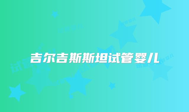 吉尔吉斯斯坦试管婴儿