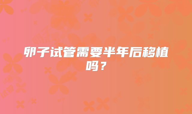 卵子试管需要半年后移植吗？
