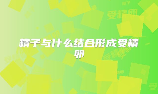 精子与什么结合形成受精卵