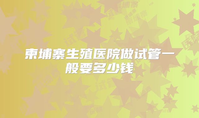 柬埔寨生殖医院做试管一般要多少钱