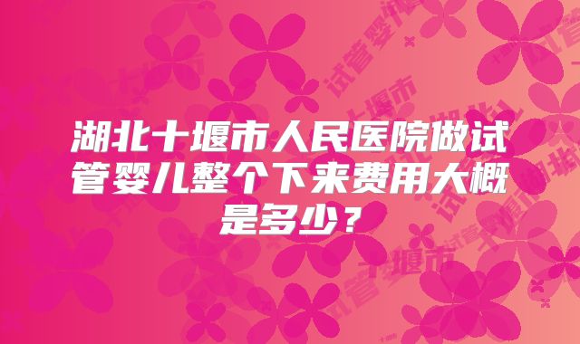 湖北十堰市人民医院做试管婴儿整个下来费用大概是多少?