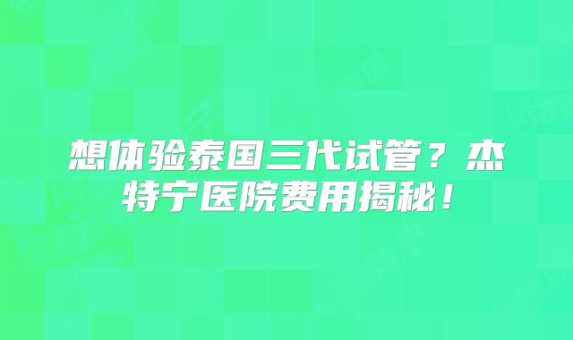 想体验泰国三代试管?杰特宁医院费用揭秘!