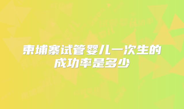 柬埔寨试管婴儿一次生的成功率是多少