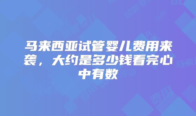 马来西亚试管婴儿费用来袭，大约是多少钱看完心中有数