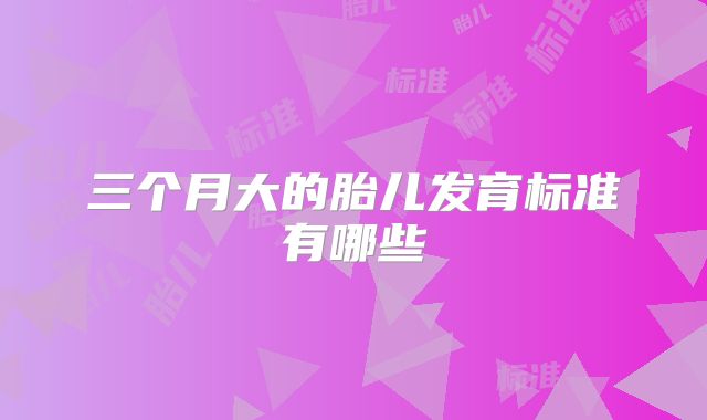 三个月大的胎儿发育标准有哪些