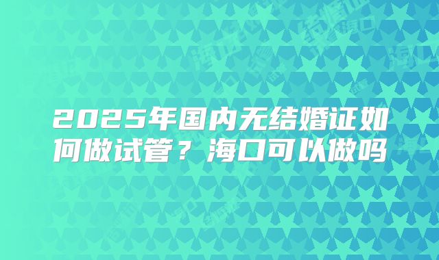 2025年国内无结婚证如何做试管?海口可以做吗