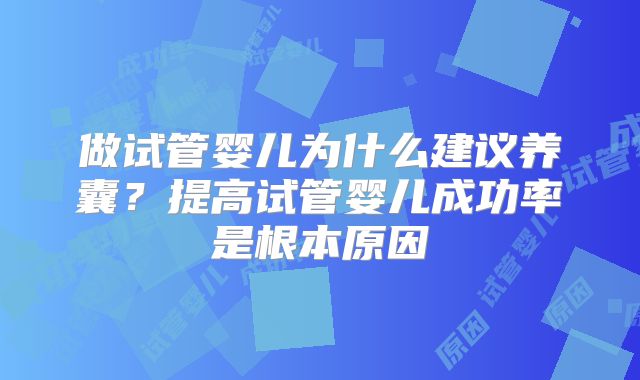 做试管婴儿为什么建议养囊?提高试管婴儿成功率是根本原因