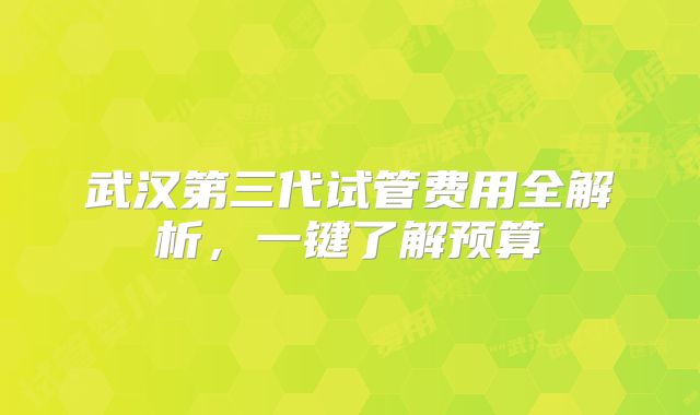 武汉第三代试管费用全解析，一键了解预算