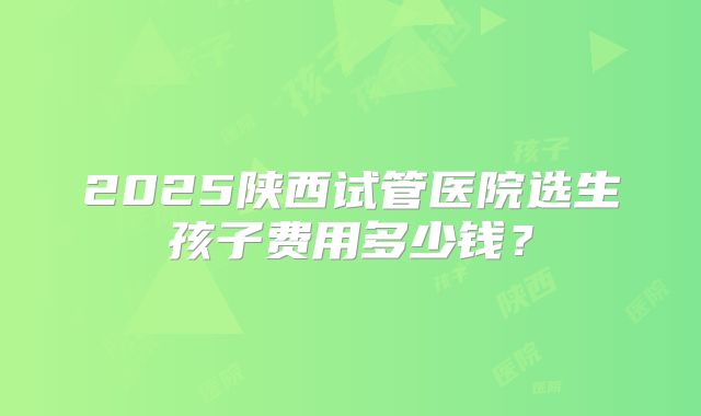 2025陕西试管医院选生孩子费用多少钱?