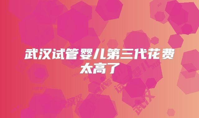武汉试管婴儿第三代花费太高了