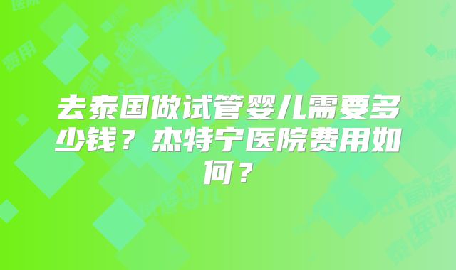 去泰国做试管婴儿需要多少钱？杰特宁医院费用如何？